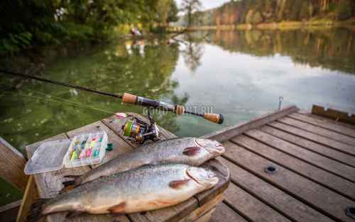 Новости туризма - Туристам предложат рыболовный тур в Крыму