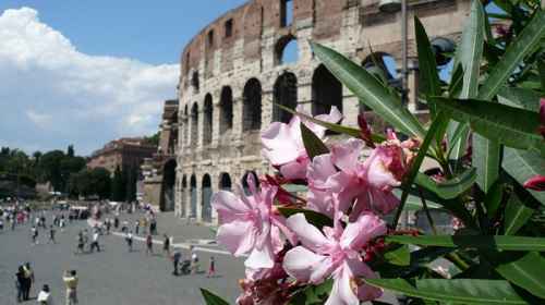 Новости туризма - Музеи Италии станут 8 марта бесплатными для дам
