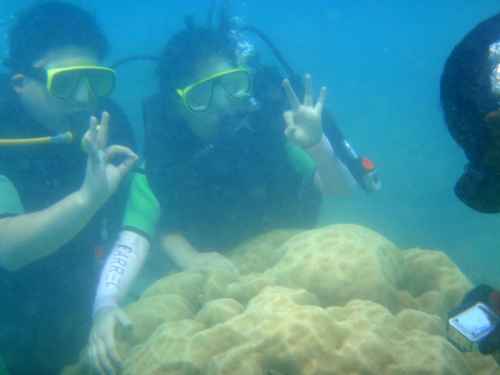 Новости туризма - Коралловый остров возле Пхукета закроют от туристов
