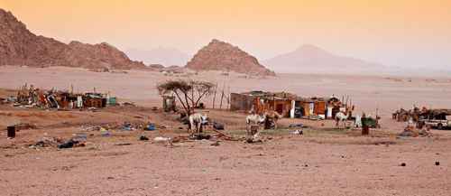 Новости туризма - В Египте для обнаружения террористов привлекли бедуинов