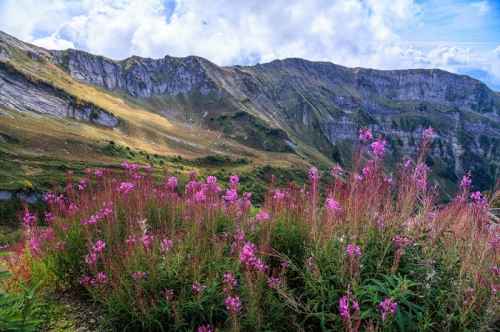 Новости туризма - Что ждёт туристов летом в горах Сочи?