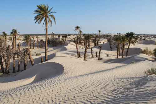 Новости туризма - Почему Тунис  —  это не только пляжный отдых? 