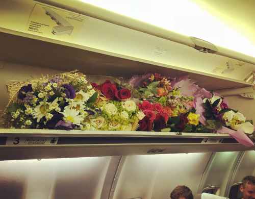 Новости туризма - Путешественники не смогут ввезти в Россию больше 3 букетов цветов
