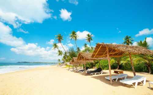 Новости туризма - Туристам из РФ будут выдавать бесплатные визы на Шри-Ланке