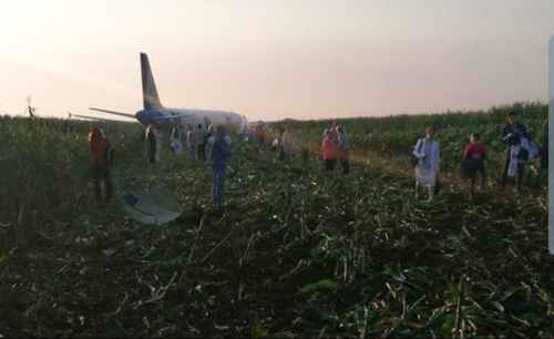 Новости туризма - Самолет «Уральских авиалиний»  совершил жесткую посадку на кукурузном поле в Подмосковье 