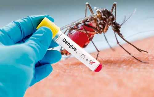 Новости туризма - МИД предупредил туристов о вспышке денге в США и Коста-Рике