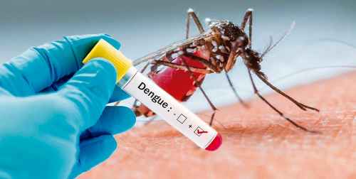 Новости туризма - МИД РФ предупредил туристов о вспышке лихорадки денге в Индонезии