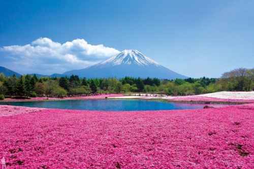 Новости туризма - Ростуризм посоветовал туристам отказаться от поездок в японский Хоккайдо