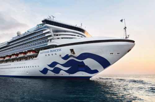 Новости туризма - Princess Cruises приостанавливает работу 